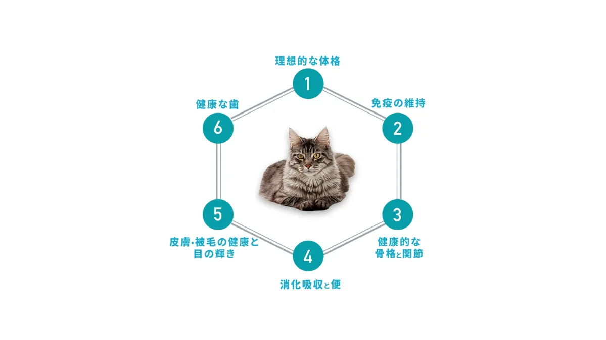 愛猫の健康に「ピュリナ ワン」のドライキャットフード - ピュリナ公式